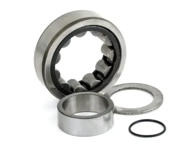 Camshaft roller bearing. Outer, rear